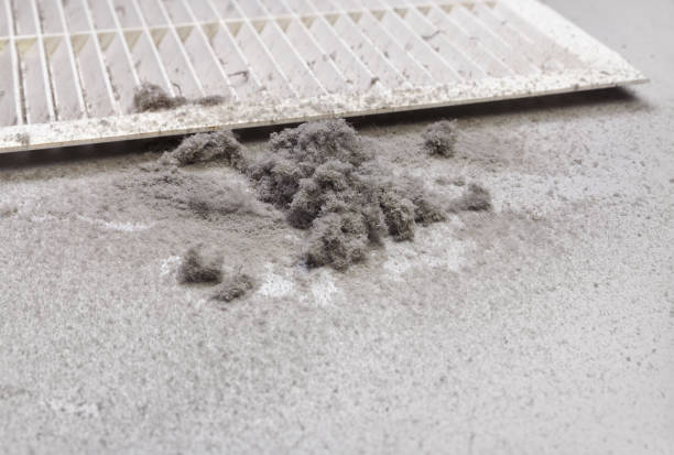 Best Ventilation Cleaning Services  in Walce Ridge, LA
