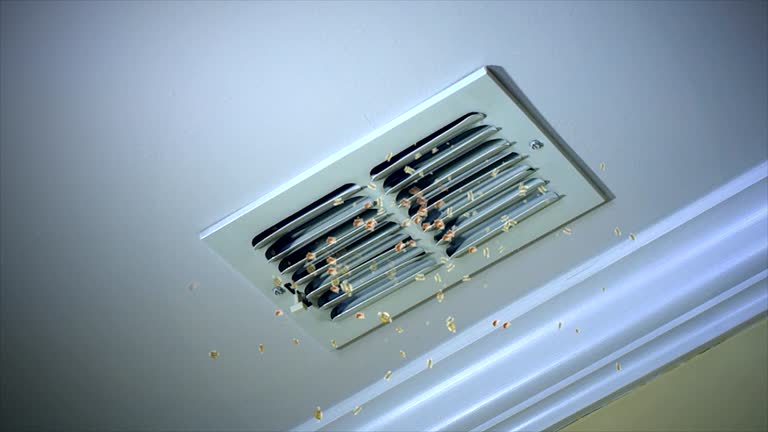 Best Affordable Air Duct Cleaning  in Walce Ridge, LA