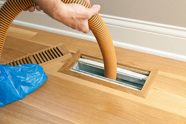 Best Air Duct Sanitizing Services  in Walce Ridge, LA