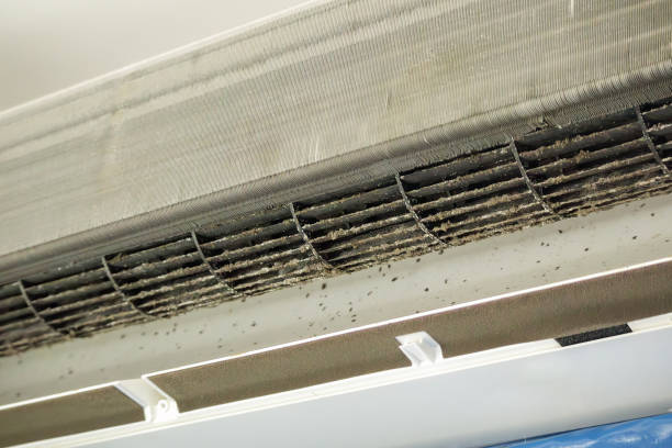 Best Affordable HVAC Duct Cleaning  in Walce Ridge, LA