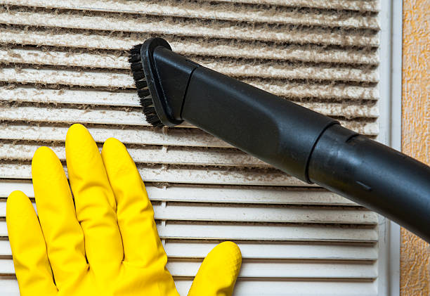 Best Professional Duct Cleaning Services  in Walce Ridge, LA