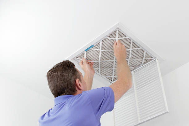 Best Home Air Vent Cleaning  in Walce Ridge, LA